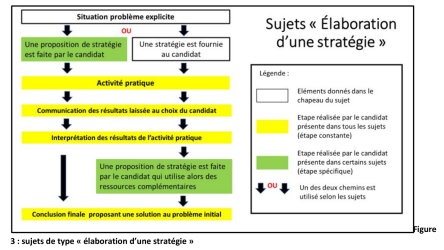 02ECEelaborationStrateg
