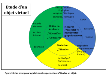 18ECEvirtuel