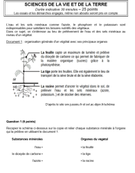 brevet04