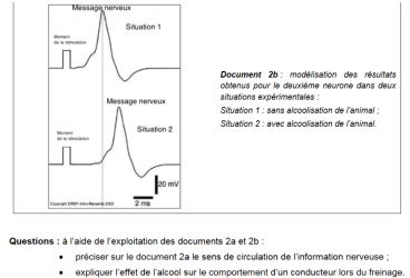 brevet16