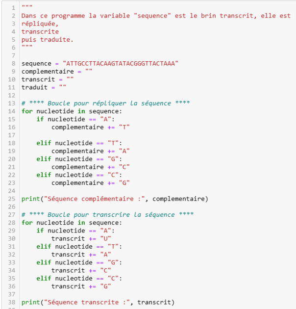 Capture du début du programme Python : modèle de transcription
