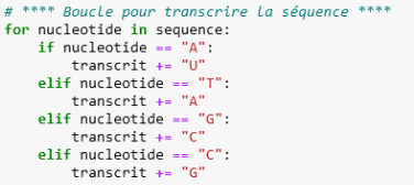 Boucle for : transcrire la séquence