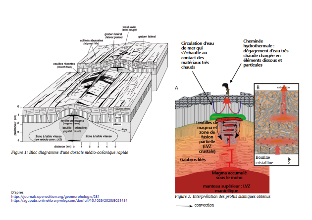 Schémas en bloc diagramme et en coupe d'une dorsale rapide intégrant les connaissances issues des différentes techniques d'exploration dont la sismique réflexion