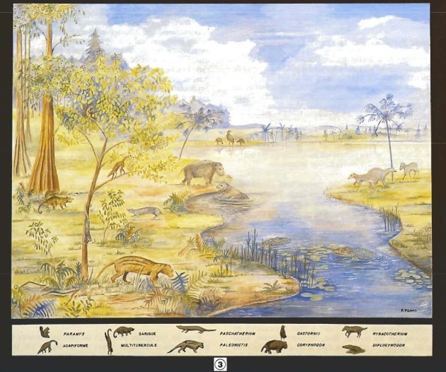 Reconstitution d'artiste de l'écosystème du lac de Meudon à l'Eocène (Yprésien : (56.0 - 47.8 Ma))